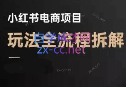 菲菲老师·小红书电商玩法(更新9月)-问小徐资源库