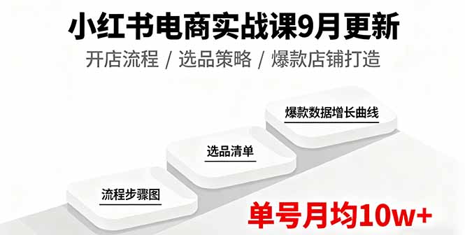 小红书电商实战课9月更新，开店流程/选品策略/爆款店铺打造，单号月均10w+-问小徐资源库