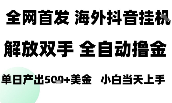 海外抖音无人直播，单日产出1.5k+，长期稳定，新手可玩，无脑操作【揭秘】-问小徐资源库