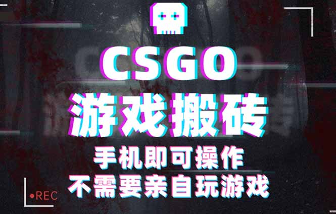 CSGO游戏挂机捡漏，单日扫货500+，年底小高峰上车可吃肉，手机即可操作…-问小徐资源库