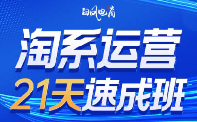 白凤电商·淘系运营21天速成班(更新9月)-问小徐资源库