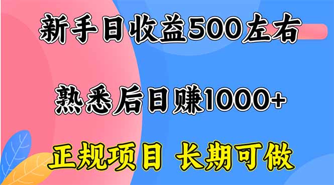 新手日收益500+ 正规项目 长期可做-问小徐资源库