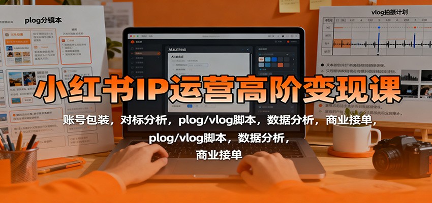 小红书IP运营高阶变现课：账号包装，对标分析，plog/vlog脚本，数据分析，商业接单-问小徐资源库