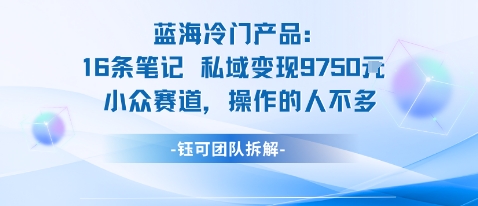 蓝海项目：16条笔记私域变现9750米小众赛道操作的人不多-问小徐资源库