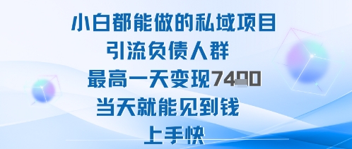 2025年小白都能做的私域项目引流负债人群最高一天变现1k+高变现难度低当天就能见到钱上手快-问小徐资源库