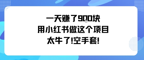 一天挣了9张用小红书做这个项目太牛了,空手套-问小徐资源库