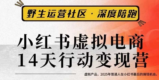 小红书虚拟电商14天变现训练营3.0，​虚拟产品，2025年普通人在小红书最后的搞钱机会-问小徐资源库