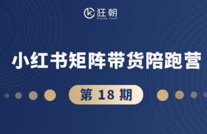 盗坤·抖音小红书视频号短视频带货与直播变现(11-18期)-问小徐资源库
