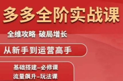 大炮·拼多多全阶实战课程(更新10月)-问小徐资源库