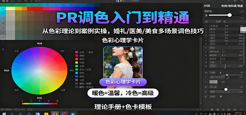 PR调色入门到精通：从色彩理论到案例实操，婚礼/医美/美食多场景调色技巧-问小徐资源库