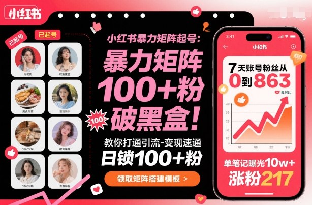 小红书暴力矩阵起号，教你打通引流-变现速通，日锁100+粉，破流量黑盒-问小徐资源库