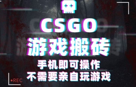 CSGO游戏挂G捡漏，单日扫货5张+，年底小高峰上车可吃肉，手机即可操作，兼职副业创业网创【揭秘】-问小徐资源库