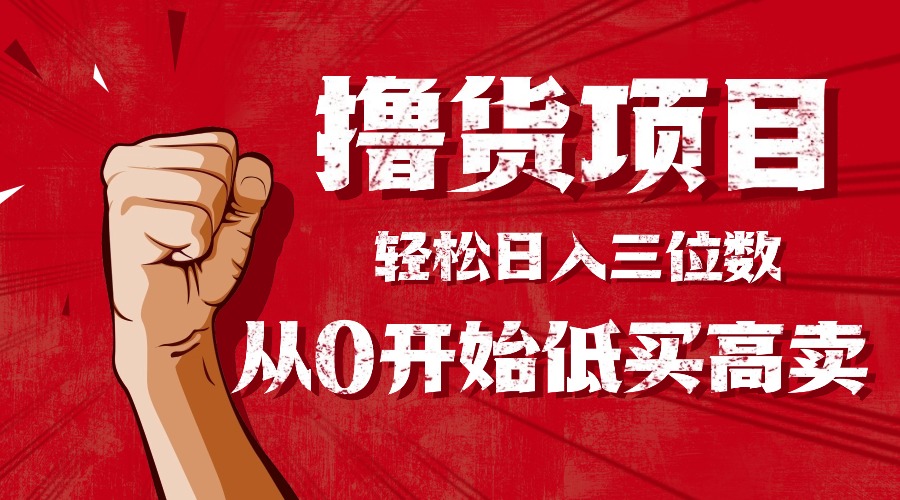 手把手教你撸货，从0开始低买高卖，小白轻松实现日入三位数!!!-问小徐资源库