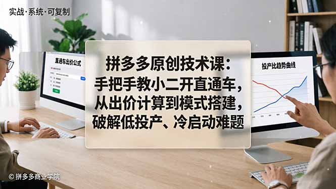 拼多多原创技术课：手把手教小二开直通车，从出价计算到模式搭建，破解低投产、冷启动难题-问小徐资源库