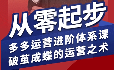 拼多多运营进阶系统课，从零起步，多多运营进阶体系课，破茧成蝶的运营之术(更新26年4月)-问小徐资源库