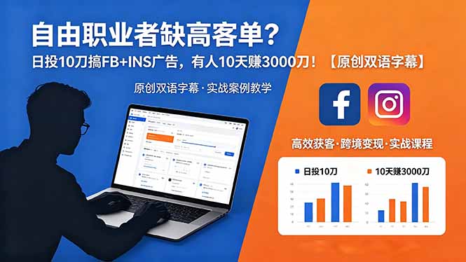 自由职业者缺高客单？日投 10 刀搞 FB+INS 广告，有人 10 天赚 3000 刀！【原创双语字幕】-问小徐资源库