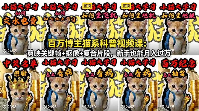 百万博主猫系科普视频课：剪映关键帧+抠像+复合片段，新手也能月入过万-问小徐资源库
