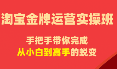 飓风电商·淘宝金牌运营实操班-问小徐资源库