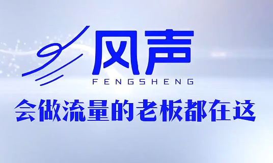 董十一·风声短视频AI获客年度会员-问小徐资源库