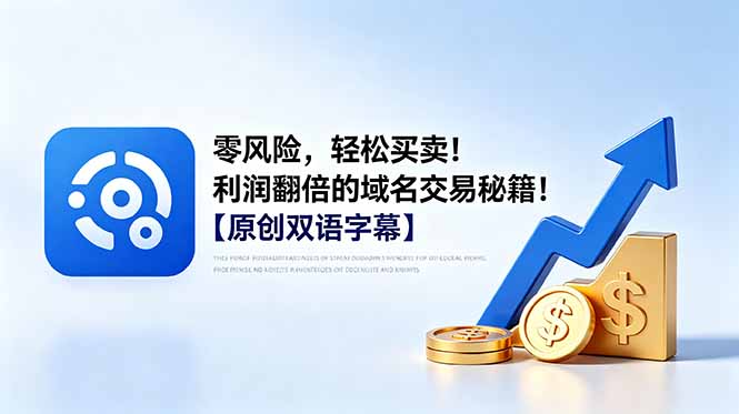 零风险，轻松买卖！利润翻倍的域名交易秘籍！【原创双语字幕】-问小徐资源库