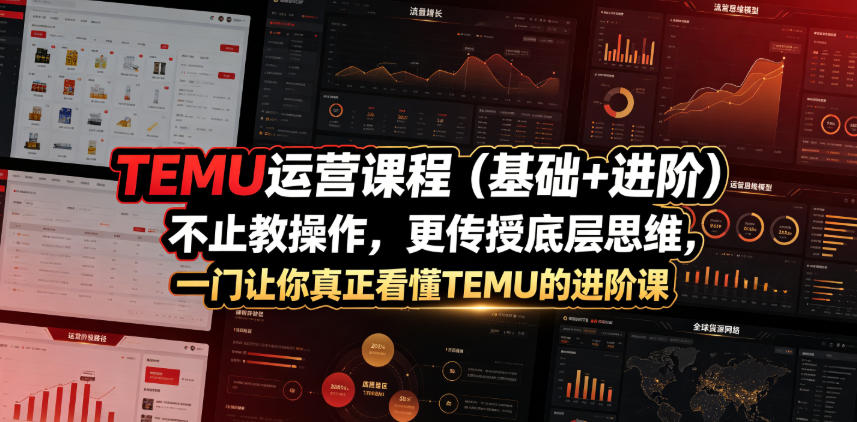 TEMU运营课程(基础+进阶)，不止教操作，更传授底层思维，一门让你真正看懂TEMU的进阶课-问小徐资源库
