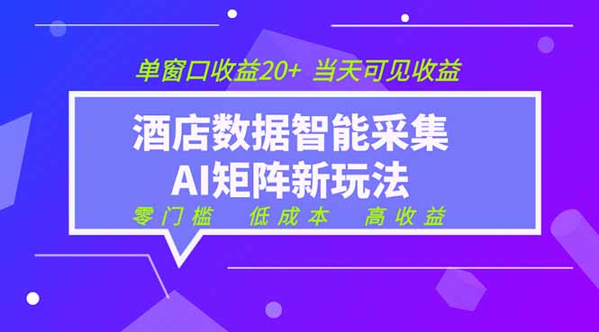 2026酒店数据采集ai智能矩阵新风口  低成本   高收益   当天见收益   单窗口20+-问小徐资源库