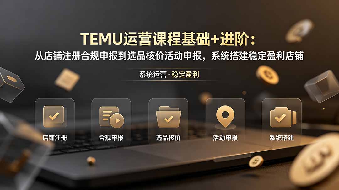 TEMU运营课程(基础+进阶-问小徐资源库