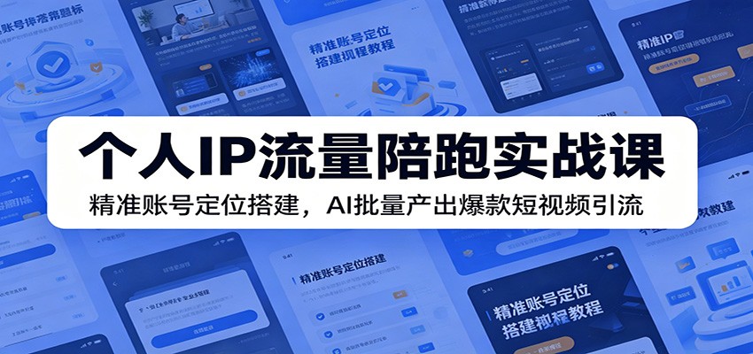 个人IP流量陪跑实战课：精准账号定位搭建，AI批量产出爆款短视频引流-问小徐资源库