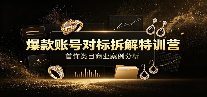 爆款账号对标拆解特训营：首饰类目商业案例分析，配套完整资料内容-问小徐资源库