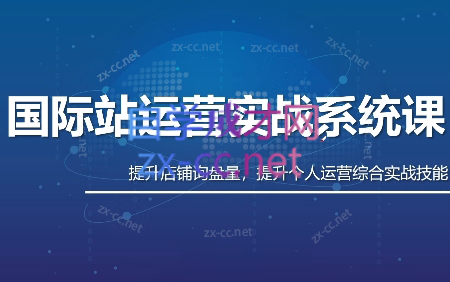 白老师·国际站运营实战系统(高质量询盘增长课)(更新)-问小徐资源库