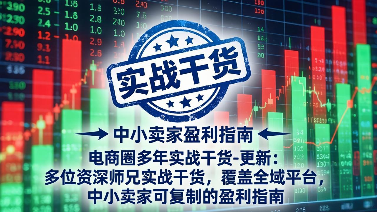 电商圈多年实战干货-更新2026：多位资深师兄实战干货/覆盖全域平台，中小卖家可复制的盈利指南-问小徐资源库
