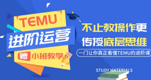 阿卡林·TEMU运营课程(基础+进阶)-问小徐资源库