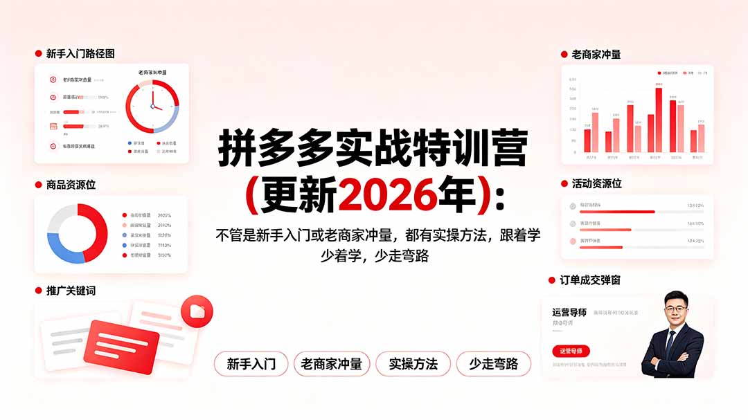 拼多多实战特训营(更新2026年-问小徐资源库