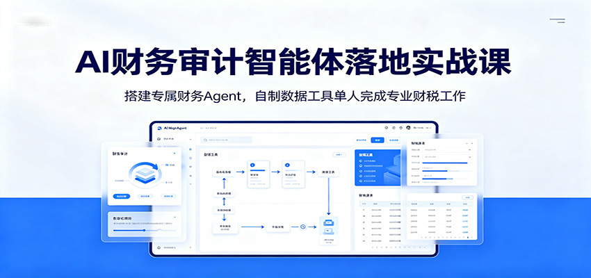 AI财务审计智能体落地实战课：搭建专属财务Agent，自制数据工具单人完成专业财税工作-问小徐资源库