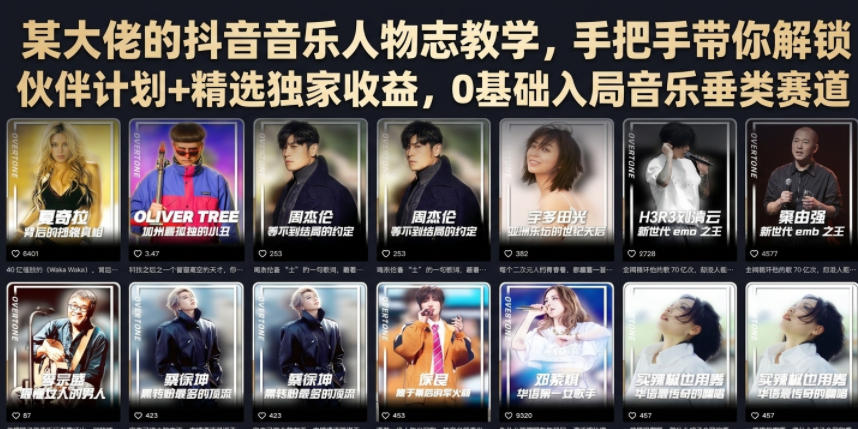 某大佬的抖音音乐人物志教学，手把手带你解锁伙伴计划+精选独家收益，0基础入局音乐垂类赛道-问小徐资源库