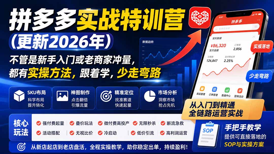 拼多多实战特训营(更新26年0821-问小徐资源库