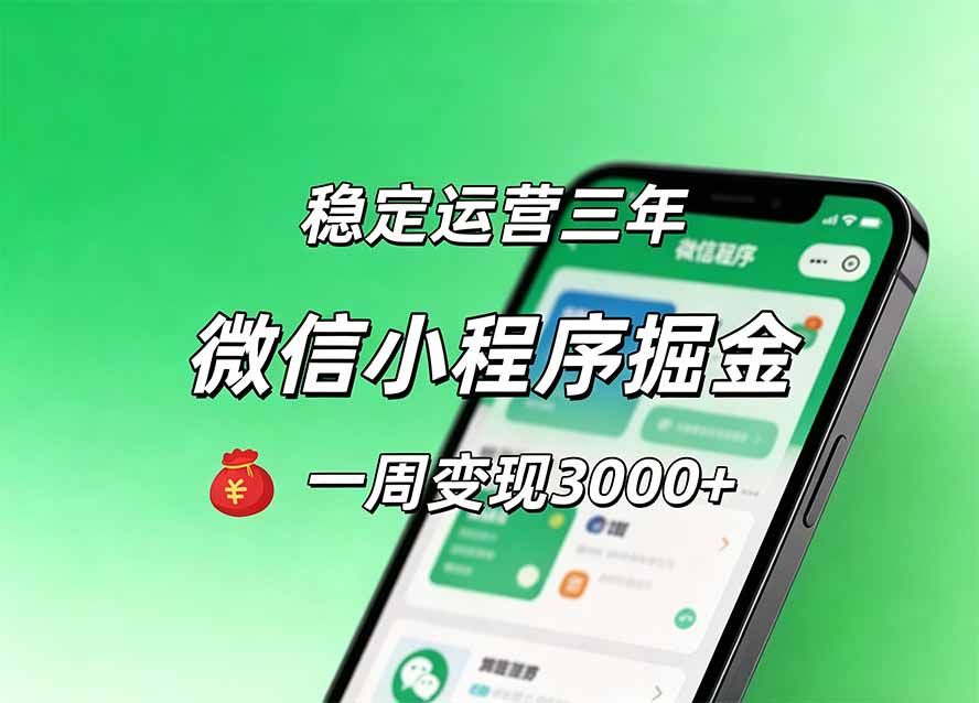 月收益稳定1W+的微信小程序，前期积累客户，后期躺平养老，小白轻松上手-问小徐资源库