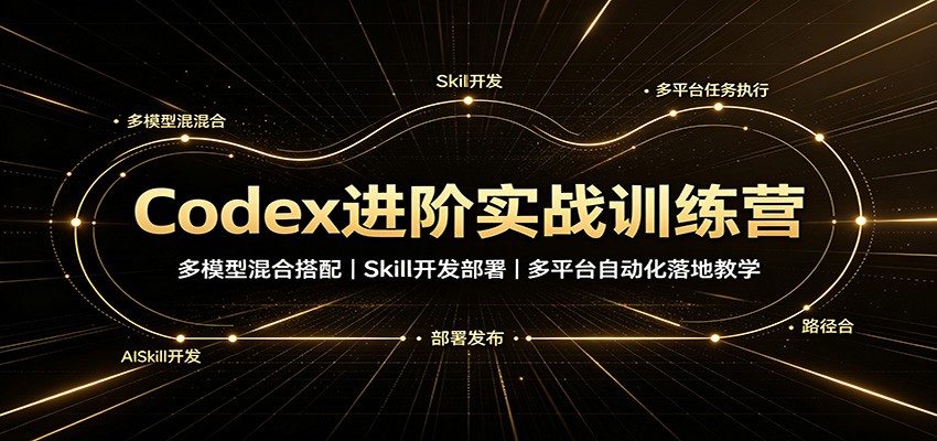 Codex进阶实战训练营:多模型混合搭配,Skill开发部署,多平台自动化落地教学-问小徐资源库