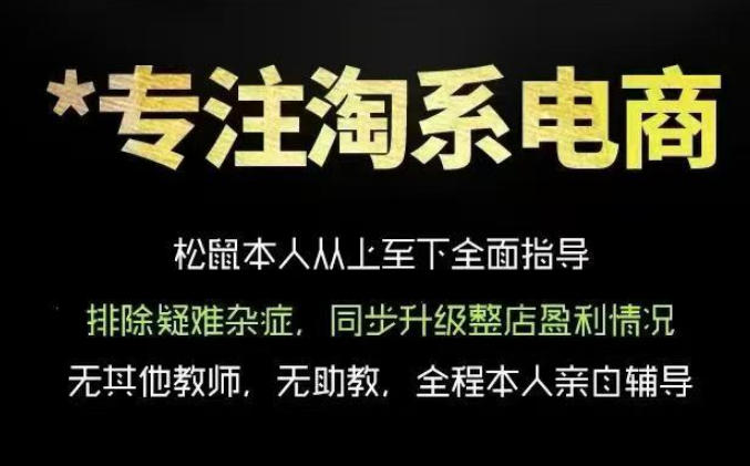 松鼠会电商VIP课程，从基础布局到高阶优化，助你掌握淘宝运营逻辑，提升店铺流量与转化(更新0823)-问小徐资源库