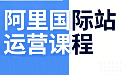 张国儒·阿里国际站运营课程(更新7月)-问小徐资源库