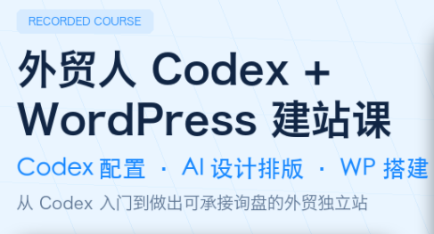大卫·外贸人Codex + WordPress建站课(更新8月)-问小徐资源库