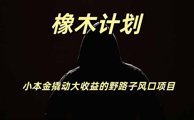 橡木计划,小投入撬动高回报的风口野路子项目,一天投入2小时左右-问小徐资源库