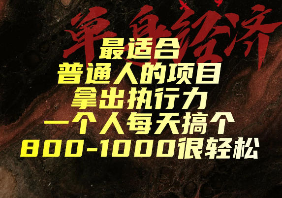 最适合普通人的项目，拿出执行力一个人每天搞个800-1k很轻松【揭秘】-问小徐资源库