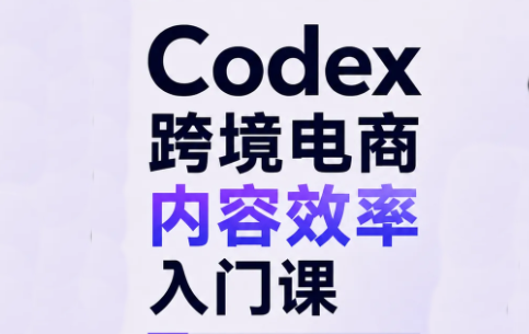 Codex跨境电商内容效率入门课-问小徐资源库