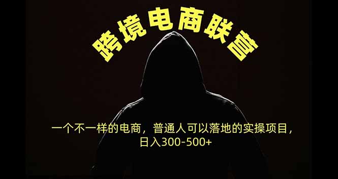 跨境电商联营,一个不一样的电商,普通人可操作日入300-500+-问小徐资源库